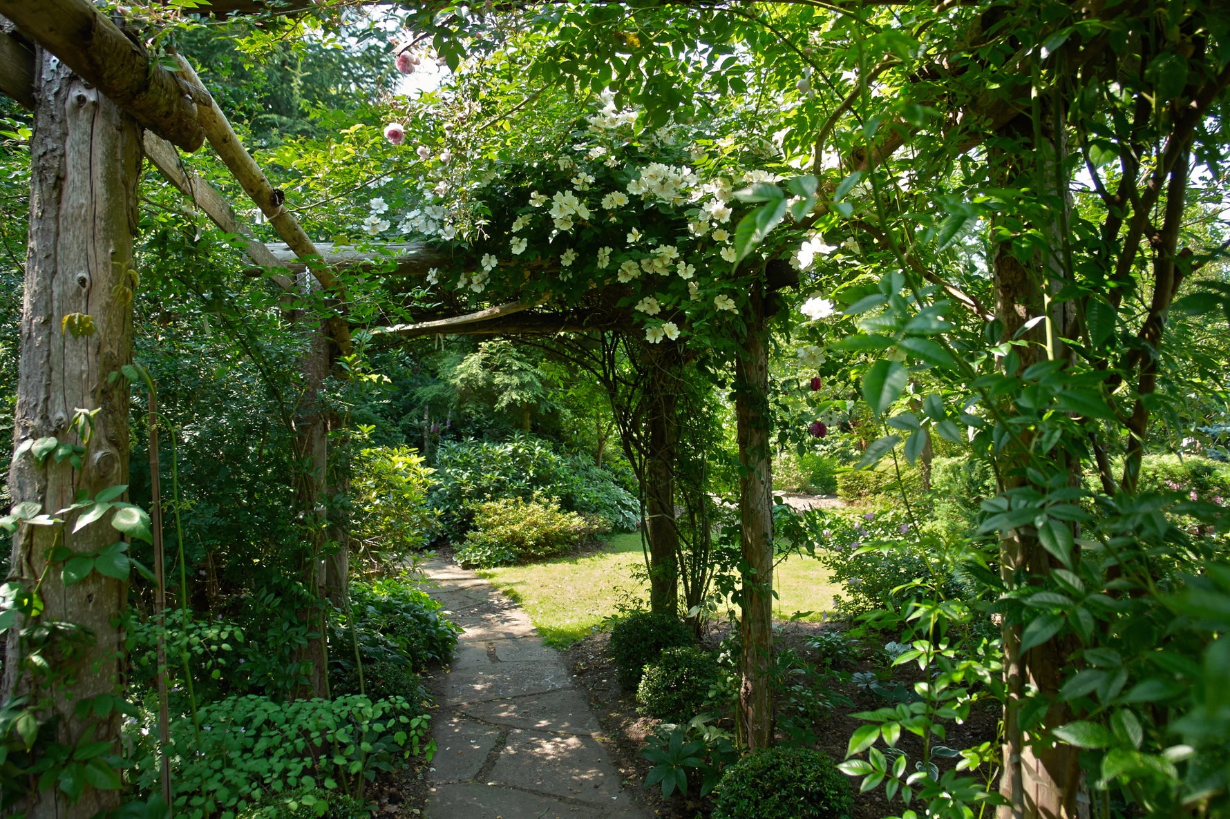 Plants for a shady garden