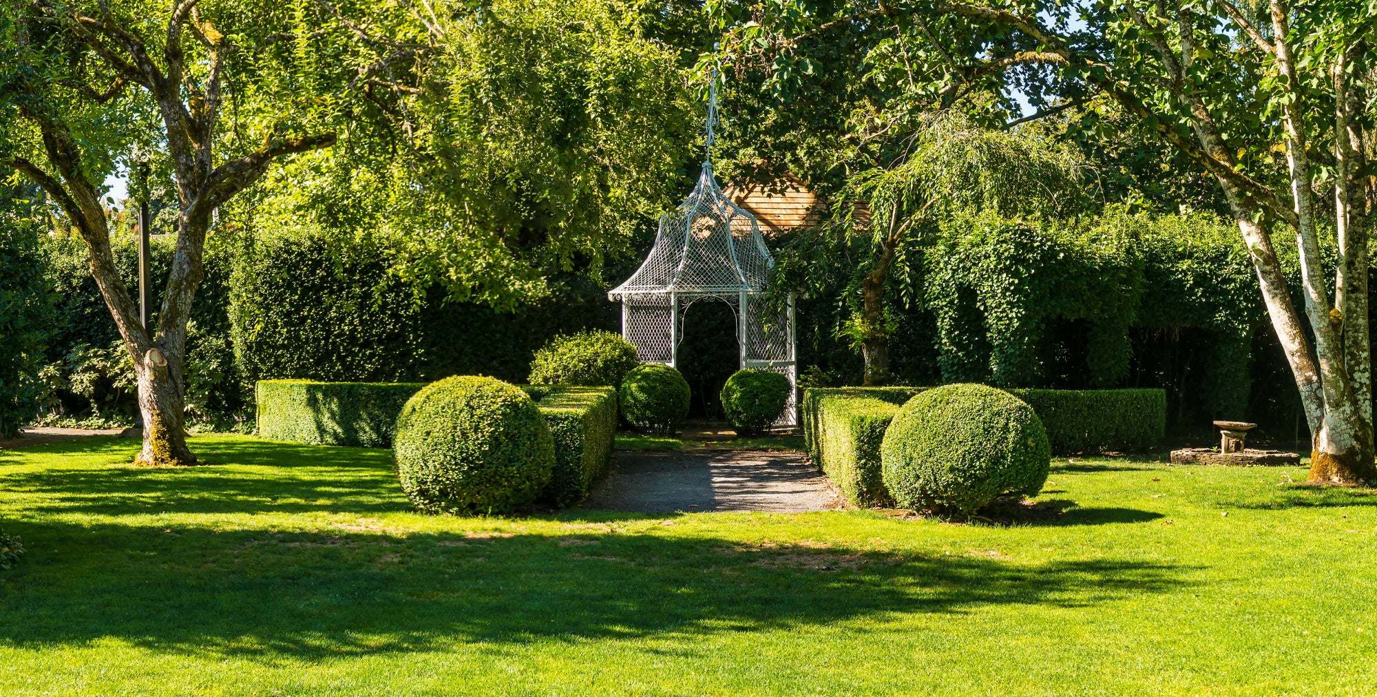 Enhance your wedding venue with trees and shrubs