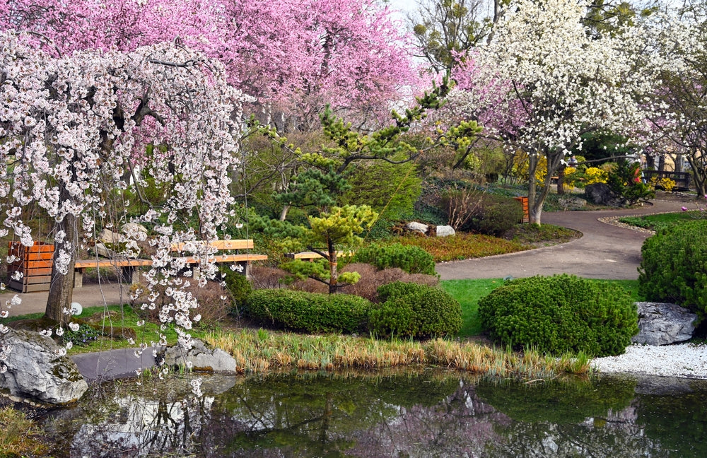 Flowering Trees