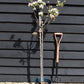 Apple tree 'Sunset' | Malus domestica - MM106 - Semi Dwarfing - Height 150-160cm - 20lt