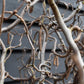 Corylus avellana 'Contorta' | Corkscrew Hazel - Height 160-170cm - 45lt