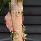 Betula Nigra "Heritage"  - River Birch| Black Birch Cully - Girth 10-12cm - Height - 500-550cm - 75lt