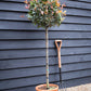 Photinia x fraseri Robusta Compacta - Half Standard - Height 165-175cm - 18lt